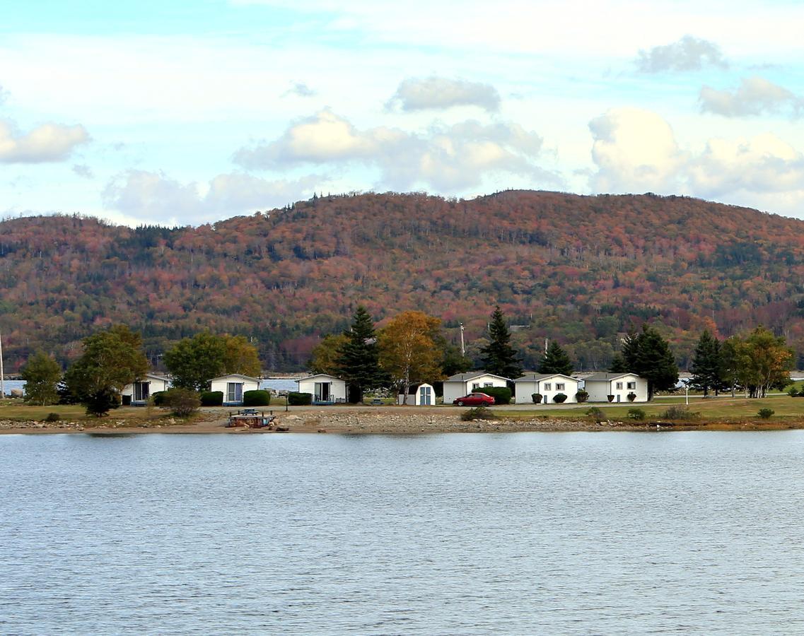 The Cove Motel Aulds Cove Quarto foto